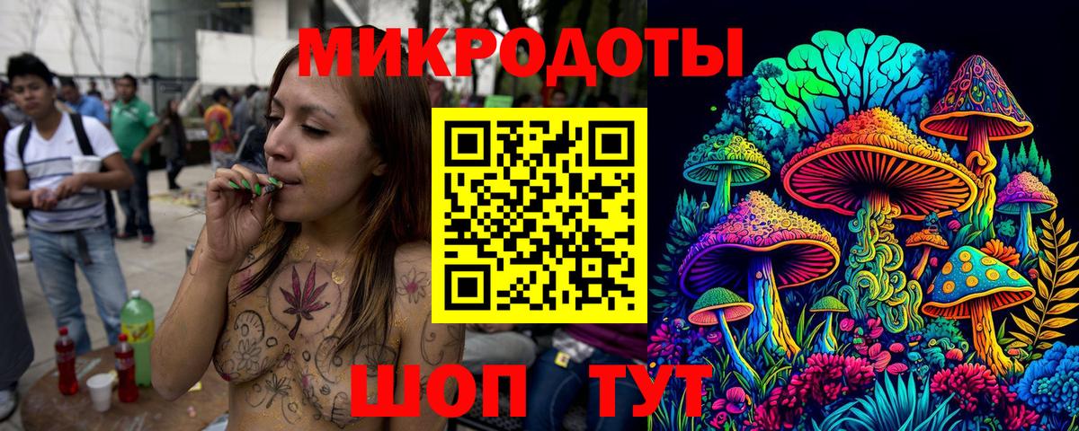 Владимир  Псилоцибиновые грибы GOLDEN TEACHER  Вход с VPN  где найти наркотики  Псилоцибиновые грибы Cubensis 