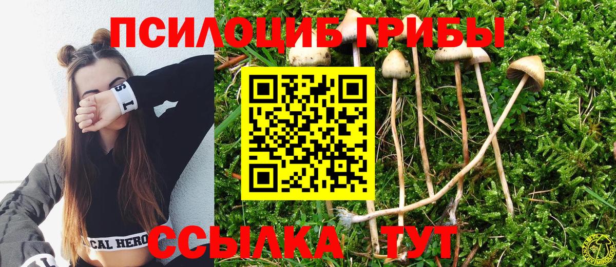 Псилоцибиновые грибы Magic Shrooms Владимир